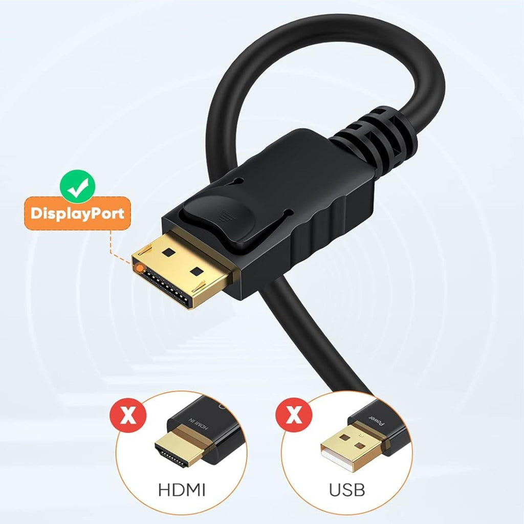 Ravtron DisplayPort to VGA Cable